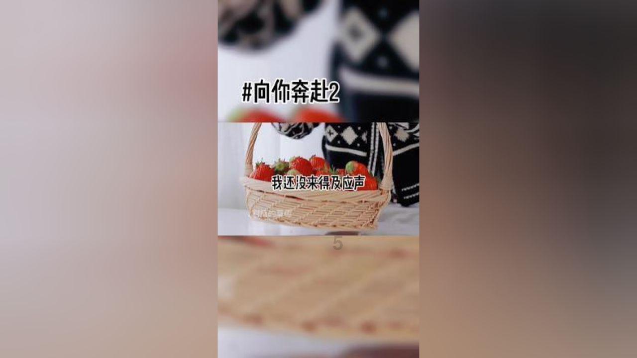 沪媒:申花明天赴深圳备战利雅得胜利,随后前往卡塔尔海外拉练