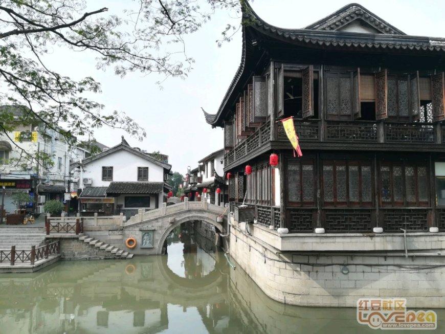 韩国人玻璃心碎一地,杨紫琼新美剧惹韩国人痛批侮辱了韩国文化!
